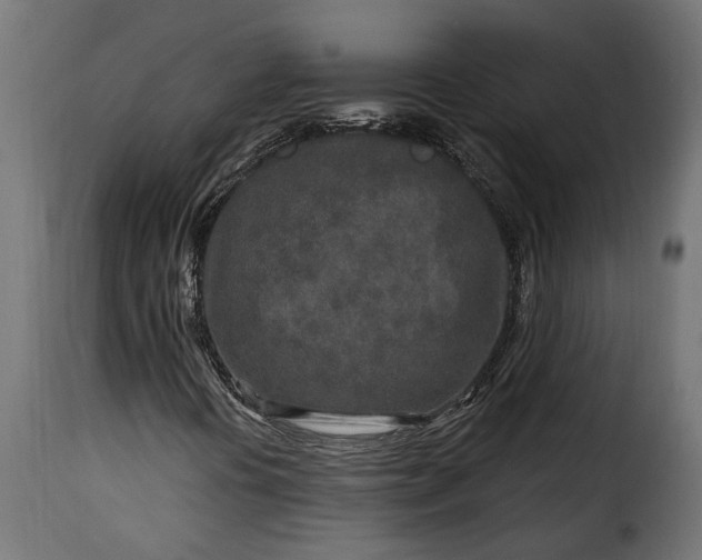 X0000115631394200911241636