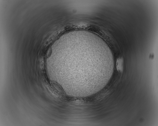 X0000115631395200911241636