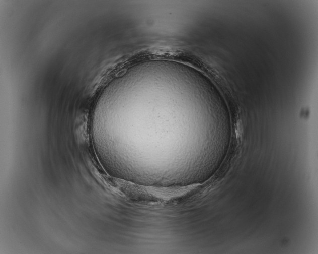 X0000115631396200911241636