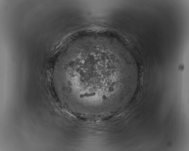 X0000115631397200911241636