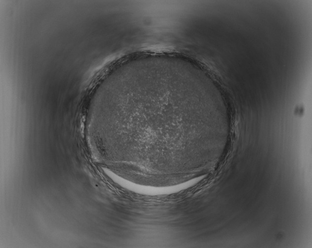 X0000115631398200911241636