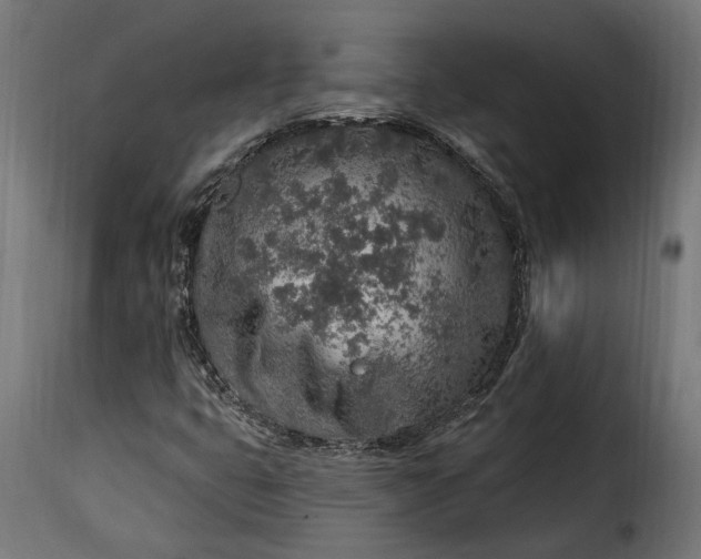 X0000115631399200911241636