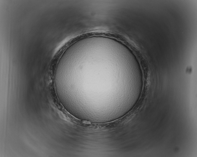 X0000115631400200911241636