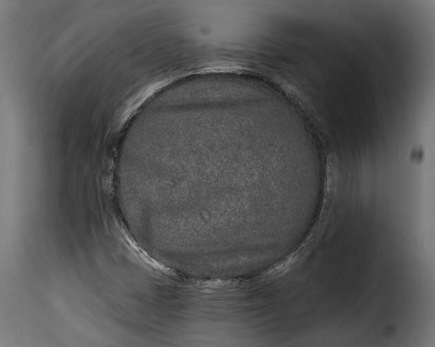 X0000115631401200911241636