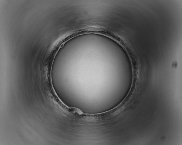 X0000115631402200911241636