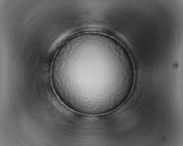 X0000115631403200911241636