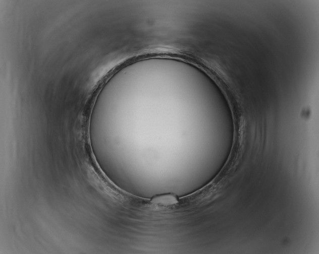 X0000115631404200911241636