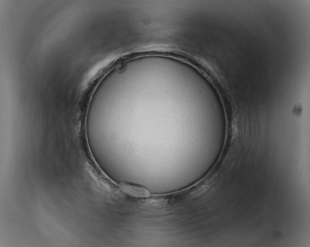 X0000115631406200911241636