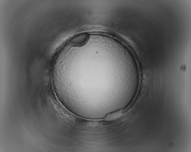 X0000115631407200911241636