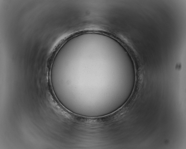 X0000115631408200911241636