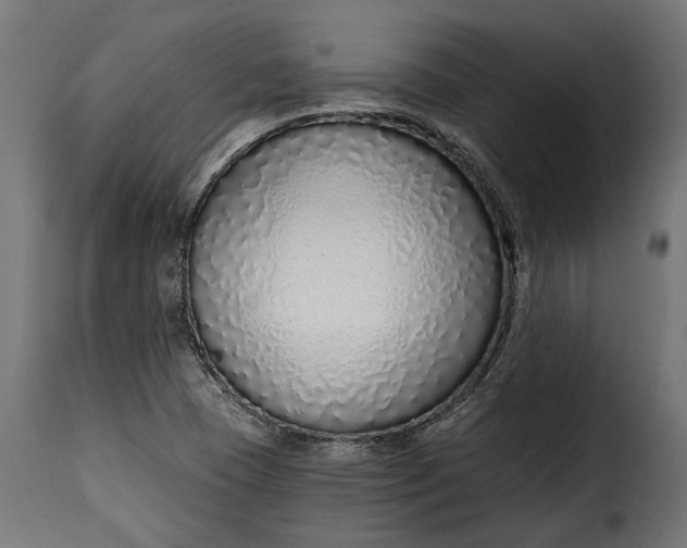 X0000115631409200911241636