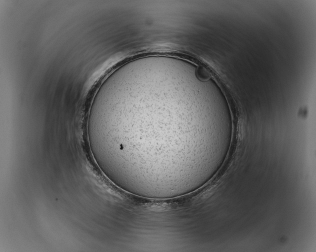 X0000115631410200911241636