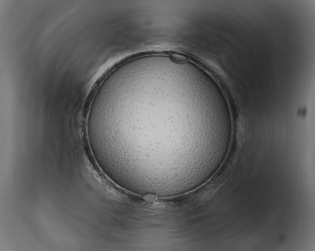 X0000115631412200911241636