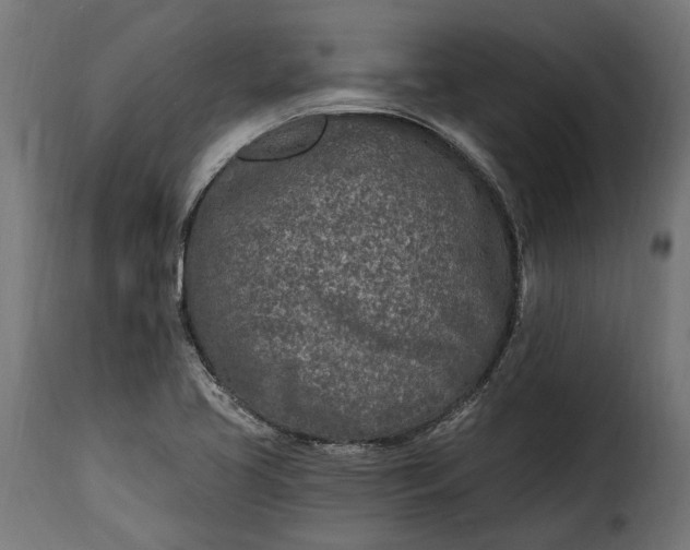 X0000115631413200911241636