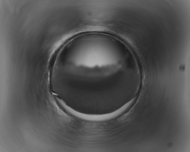 X0000115631414200911241636