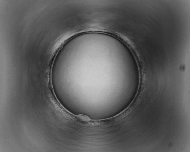 X0000115631415200911241636