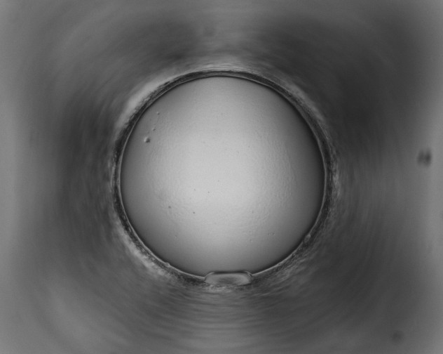 X0000115631416200911241636