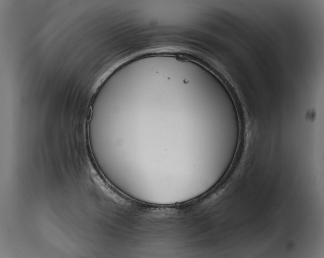 X0000115631417200911241636