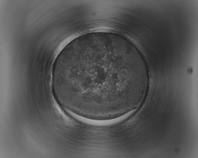 X0000115631418200911241636