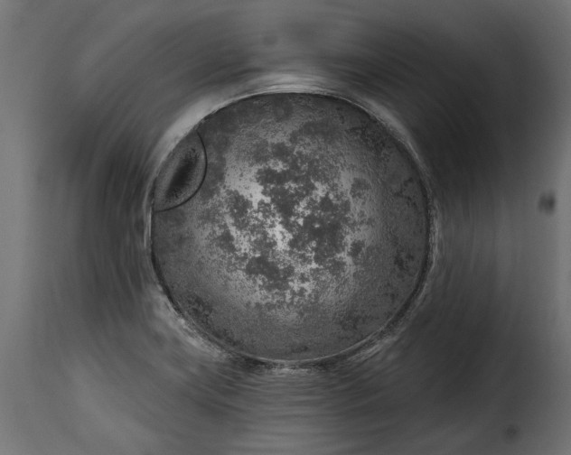 X0000115631419200911241636