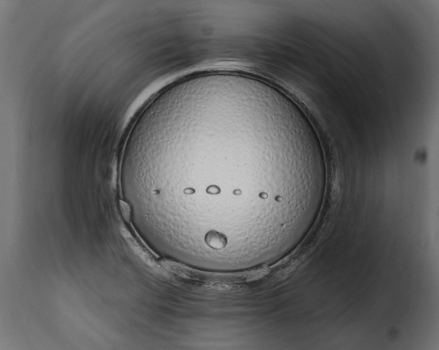 X0000115631420200911241636