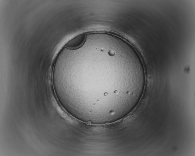 X0000115631421200911241636