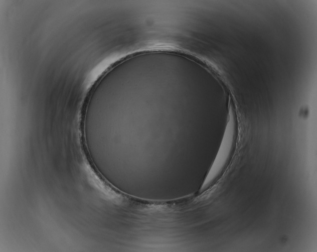 X0000115631422200911241636