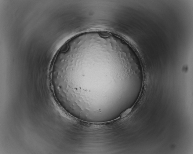 X0000115631423200911241636