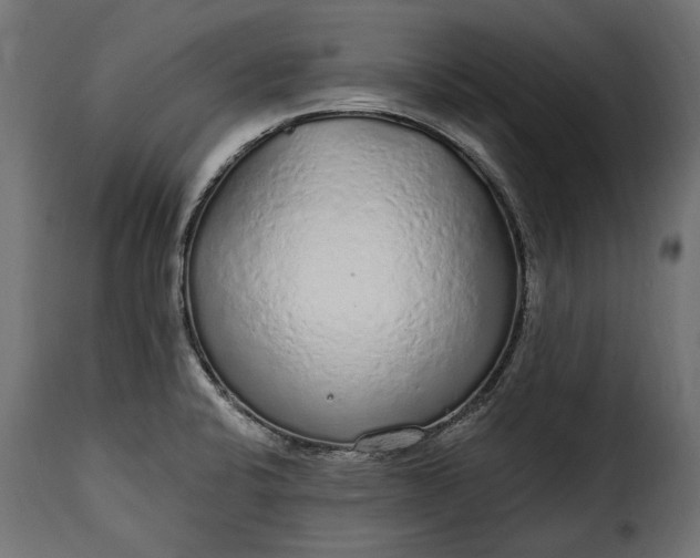 X0000115631424200911241636