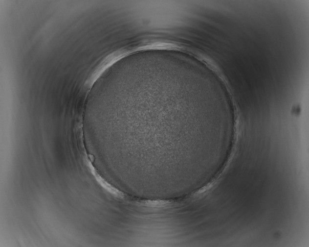 X0000115631425200911241636