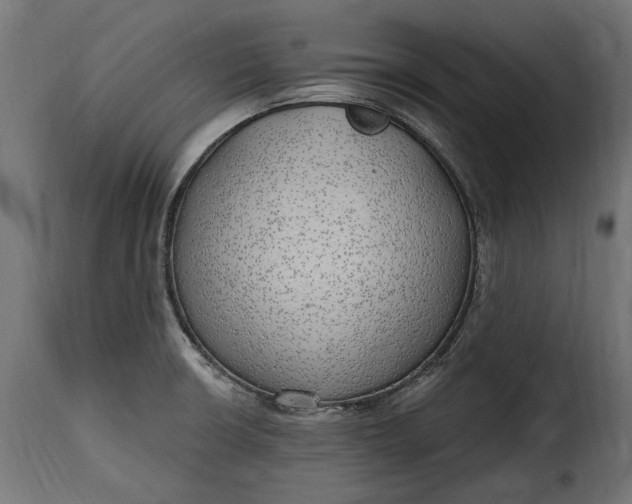 X0000115631426200911241636