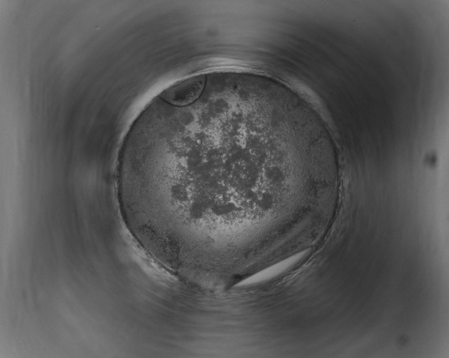 X0000115631427200911241637