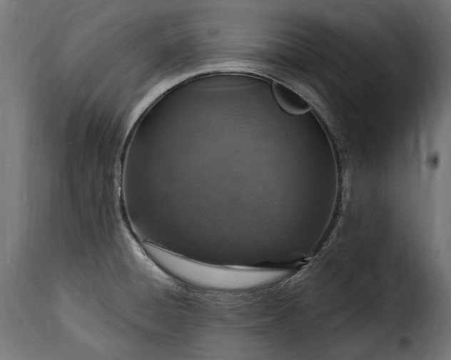 X0000115631428200911241637