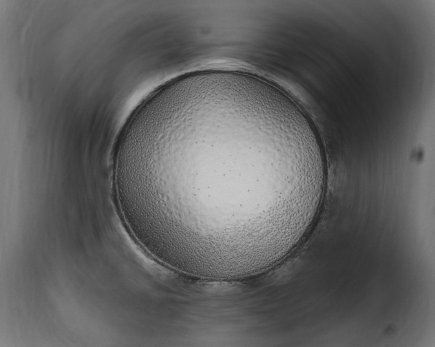 X0000115631430200911241637