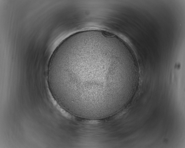 X0000115631431200911241637