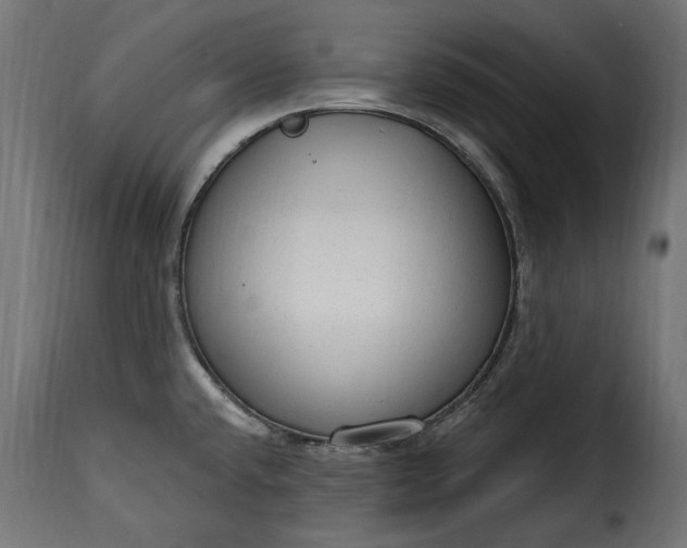 X0000115631432200911241637