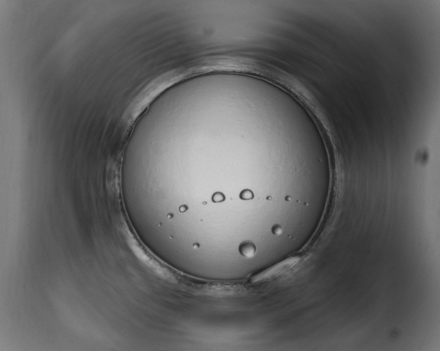 X0000115631433200911241637