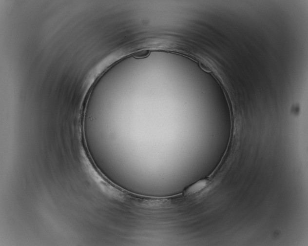 X0000115631434200911241637