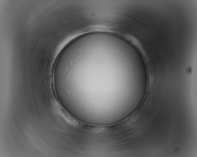 X0000115631435200911241637