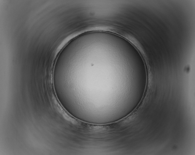 X0000115631436200911241637