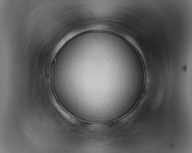 X0000115631437200911241637