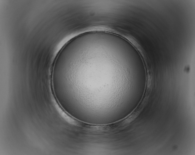 X0000115631438200911241637