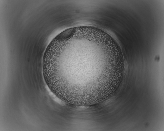 X0000115631439200911241637