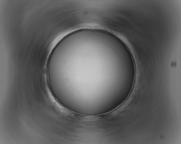 X0000115631440200911241637