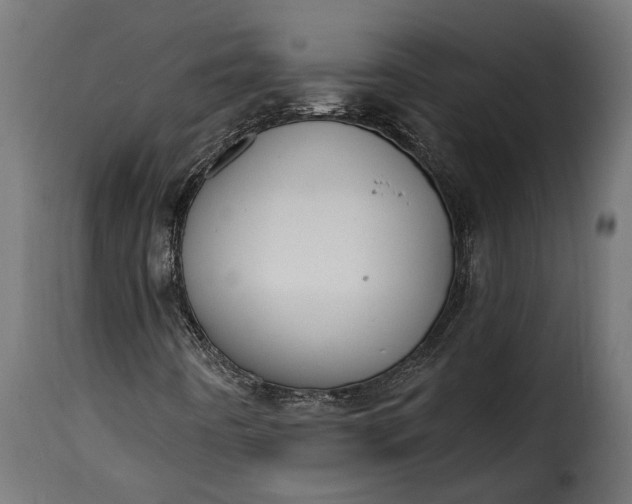 X0000115631442200911241636