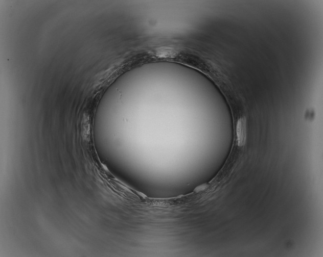 X0000115631443200911241636