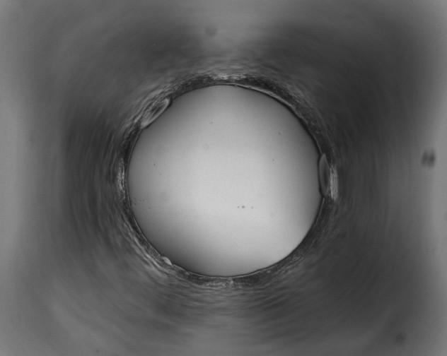 X0000115631444200911241636