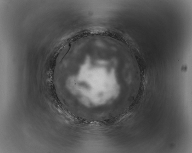 X0000115631445200911241636