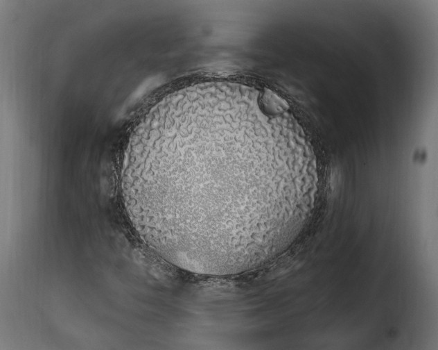 X0000115631446200911241636