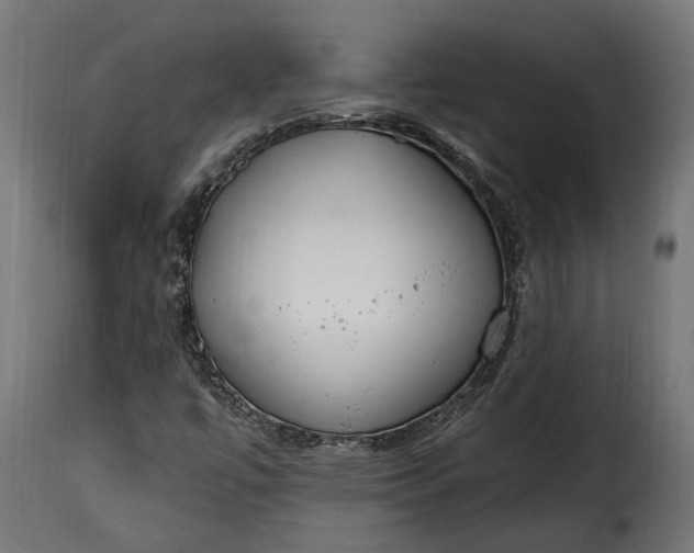 X0000115631447200911241636